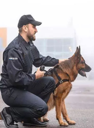 service